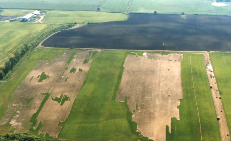 History | Greener Gardens Sod Farm